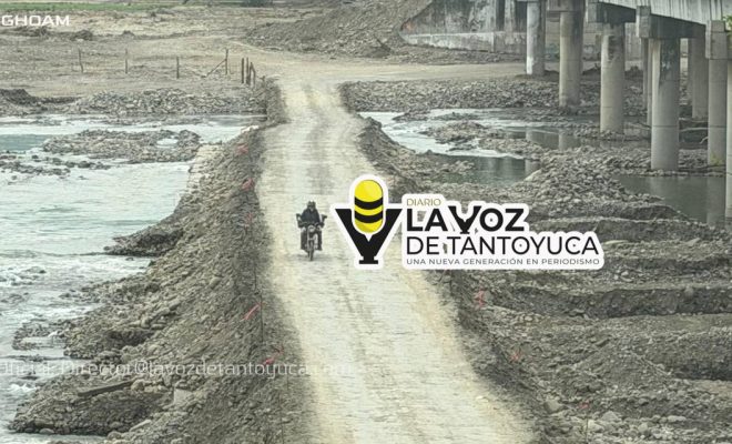 photo_4972143915163126537_y