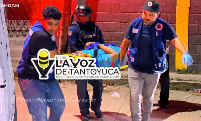 photo_4972143915163126870_y