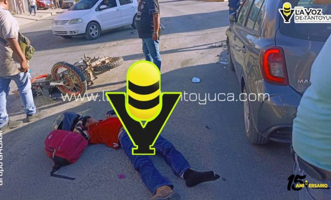 photo_4972313905673735033_y