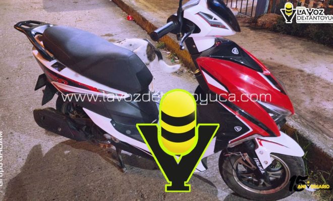 photo_4972313905673735034_y