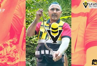 Capturan víbora venenosa localizada en el patio de una vivienda en Huejutla