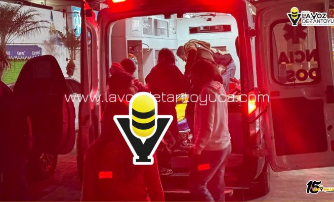 photo_4972384098324253533_y