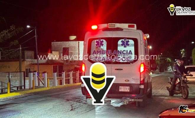 photo_4972384098324253534_y