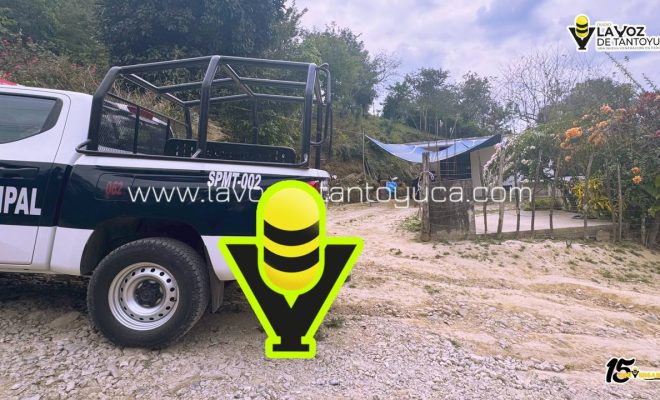 photo_4972384098324253539_y photo_4972384098324253539_y