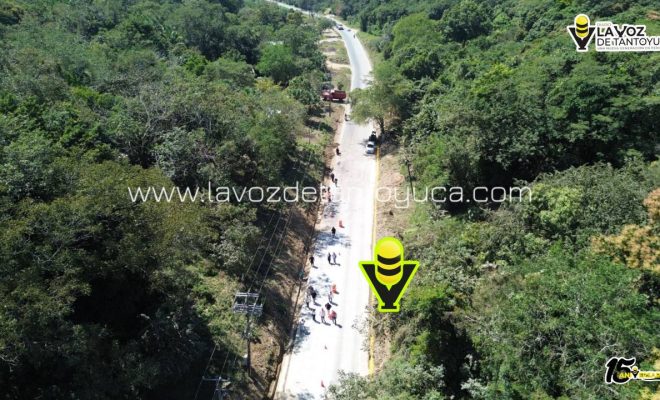 photo_4974344523261610920_y