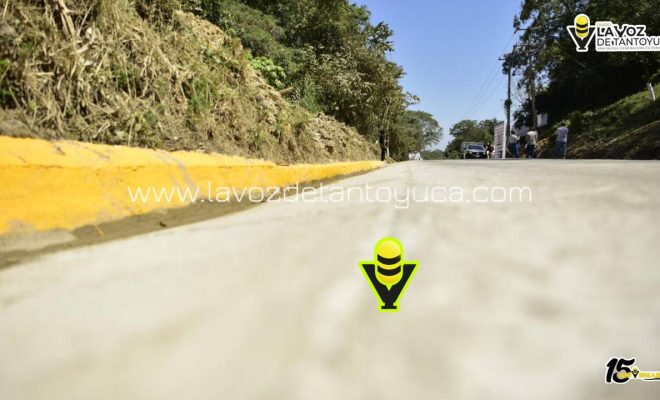 photo_4974344523261610921_y