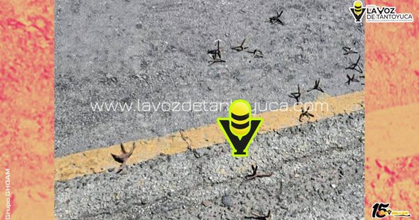Arrojan poncha llantas en Pánuco
