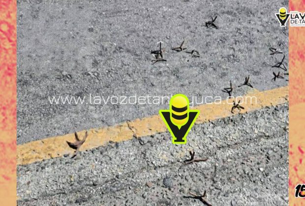 Arrojan poncha llantas en Pánuco