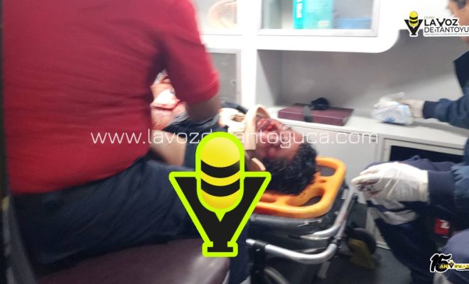 photo_4974344523261610983_y