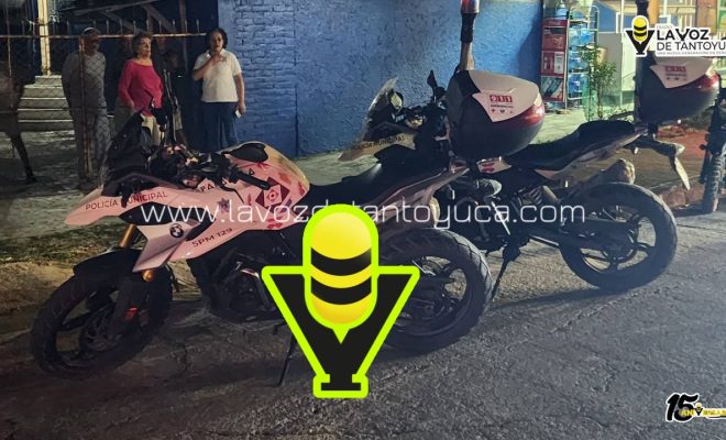 photo_4974344523261610984_y