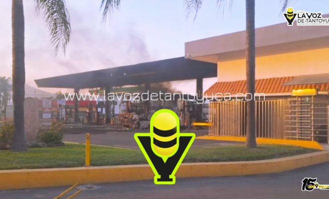 photo_4974344523261610988_y