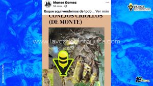 Alarma en Platón Sánchez por presunta venta de fauna silvestre