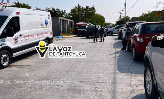 photo_4974395714976812101_y photo_4974395714976812101_y