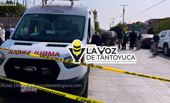 photo_4974395714976812102_y photo_4974395714976812102_y