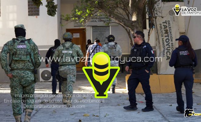 photo_4974483774691281864_y