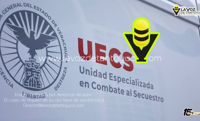 photo_4974483774691281865_y