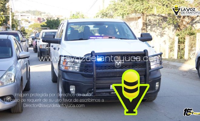 photo_4974483774691281866_y