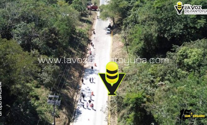 photo_4974565705487420318_y