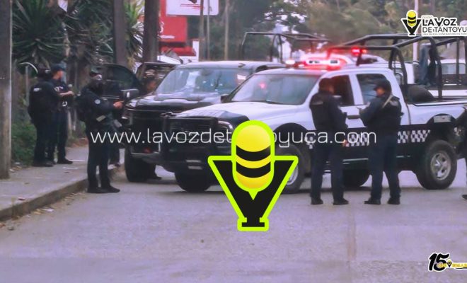 photo_4978823933633170335_y