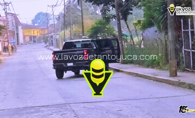 photo_4978823933633170336_y