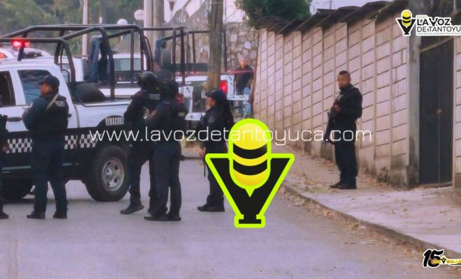 photo_4978823933633170337_y