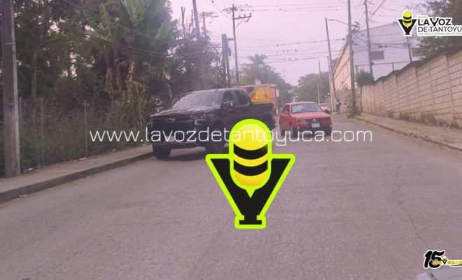 photo_4978823933633170338_y