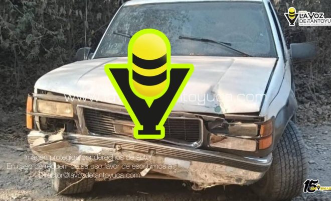 photo_4978987374318652421_y