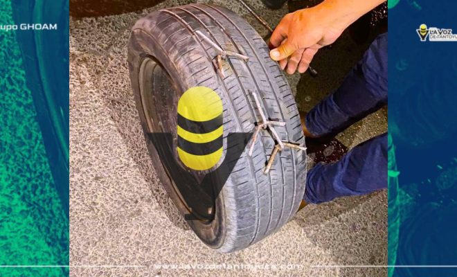 photo_4979045137333816104_y