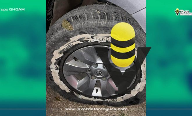 photo_4979045137333816108_y