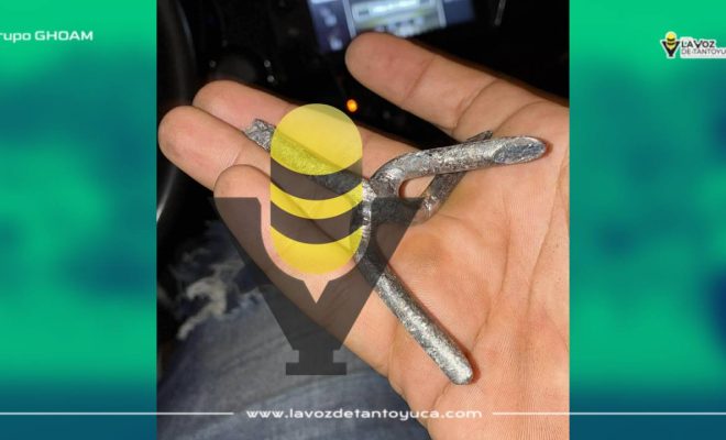 photo_4979045137333816109_y