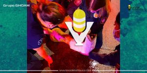 Mujer casi pierde el pie en accidente de moto; viajaba como acompañante