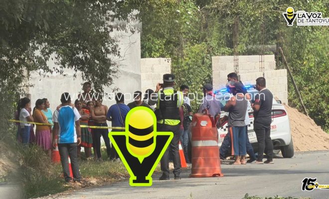 photo_4981075733446855655_y photo_4981075733446855655_y