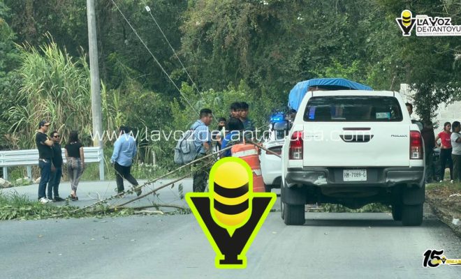 photo_4981075733446855656_y photo_4981075733446855656_y