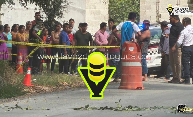 photo_4981075733446855657_y photo_4981075733446855657_y