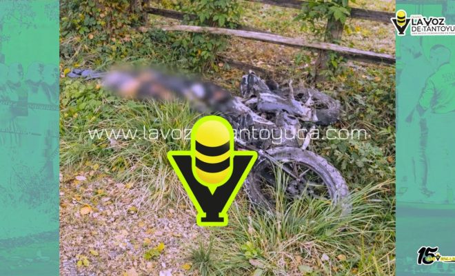 photo_4981075733446855659_y photo_4981075733446855659_y