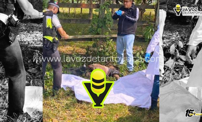 photo_4981075733446855666_y photo_4981075733446855666_y