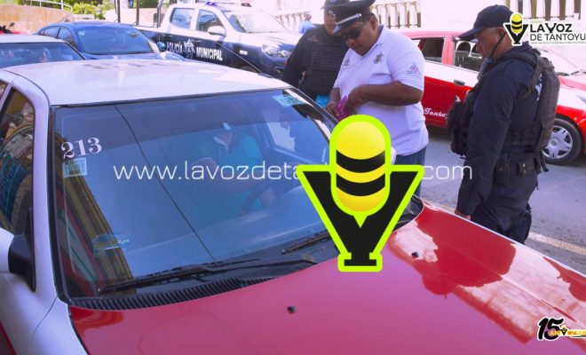 photo_4981075733446855669_y