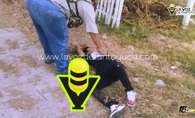 photo_4981075733446855678_y photo_4981075733446855678_y