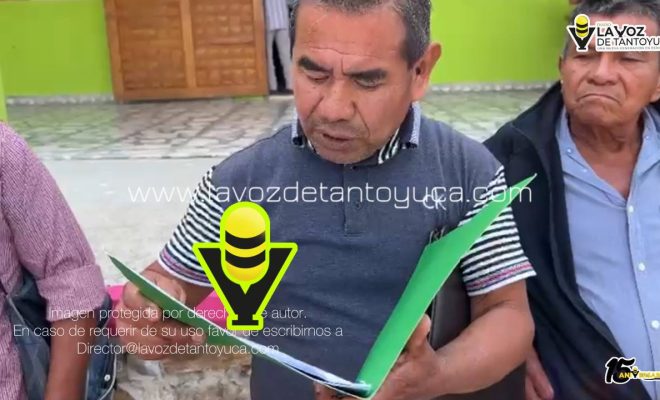 photo_4981296619319921595_y