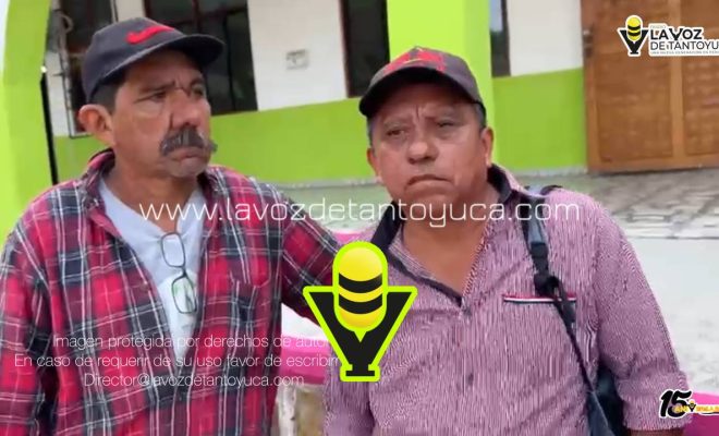 photo_4981296619319921596_y