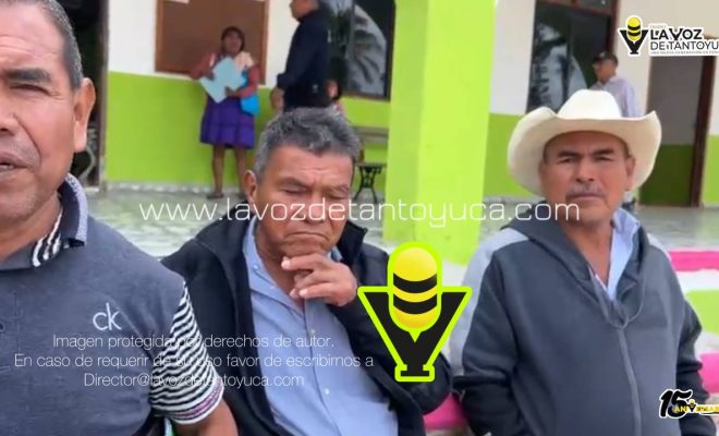 photo_4981296619319921597_y