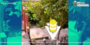 Camioneta choca contra barda y termina en el patio de una casa