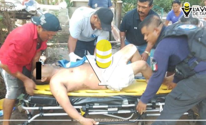 photo_4983643020083268447_y