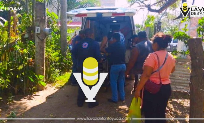 photo_4983643020083268449_y