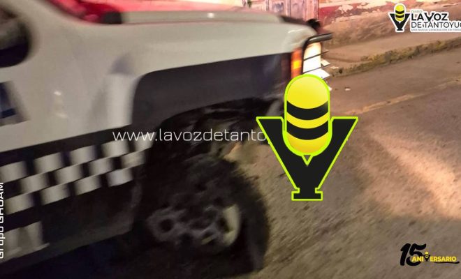 photo_4983691390004956153_y photo_4983691390004956153_y