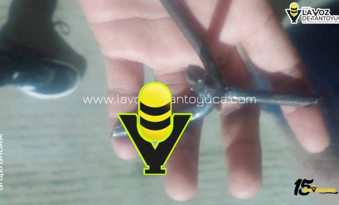 photo_4983691390004956157_y photo_4983691390004956157_y