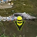 Aparición de cocodrilo alerta a vecinos en la 10 de Abril, en Papantla