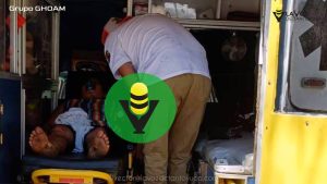 Abejas matan a una mujer en Chinampa de Gorostiza
