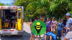 Abejas matan a una mujer en Chinampa de Gorostiza