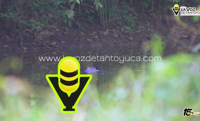 photo_4985558506777807831_y photo_4985558506777807831_y